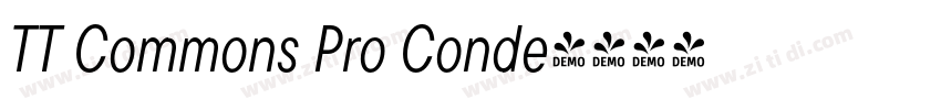 TT Commons Pro Conde字体转换